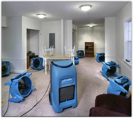 Water Damage Assessment in Evergreen, CO