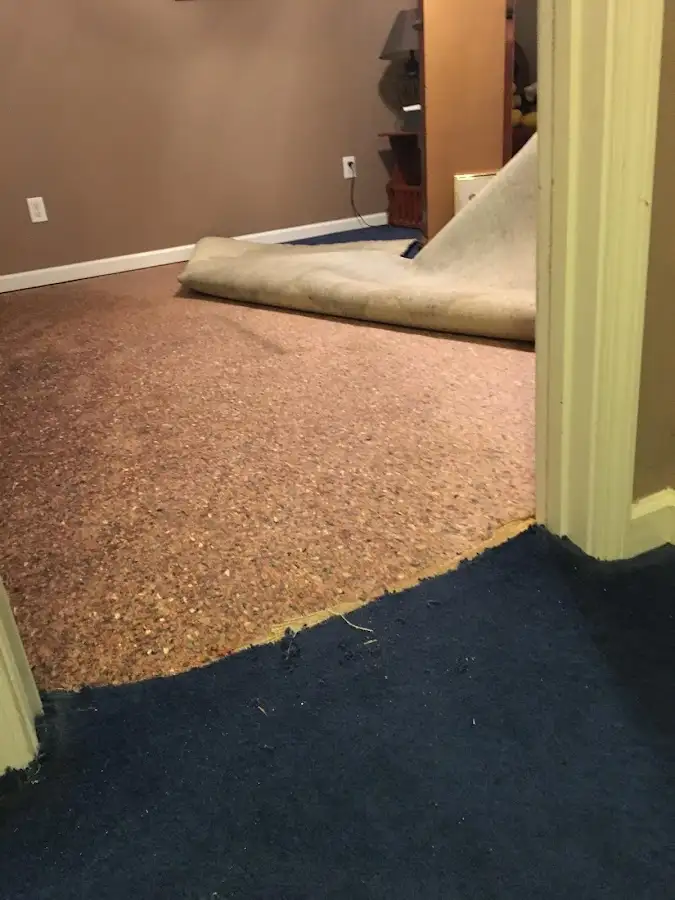 Carpet pad removal revealing water damage during Drying & Dehumidification in Evergreen