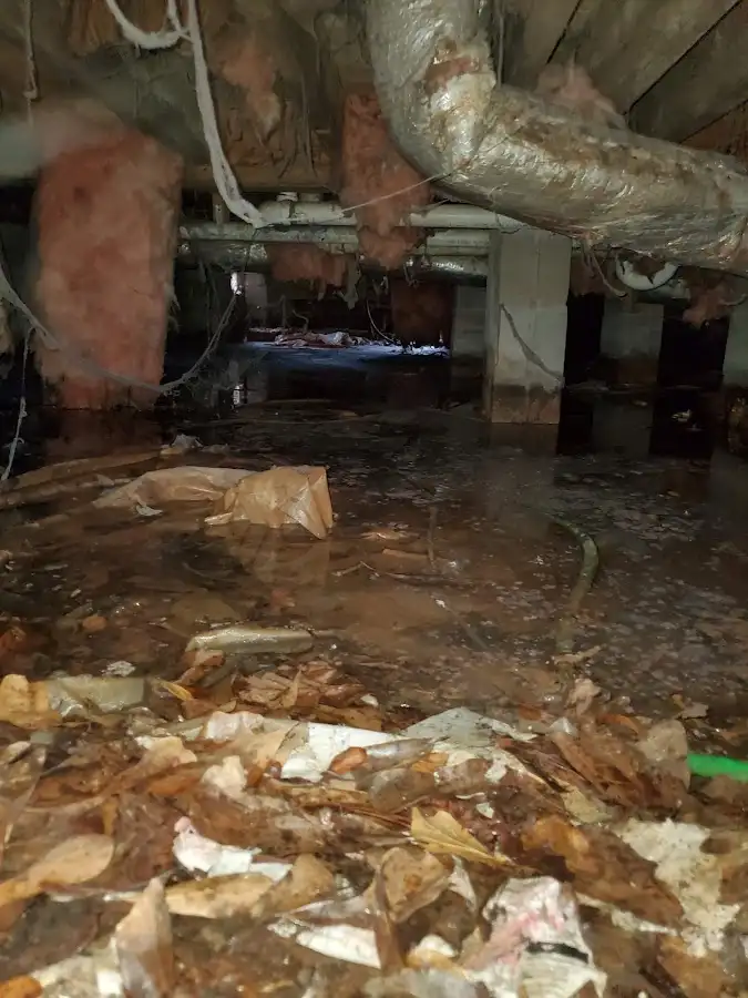 Crawl space flood assessment for Leak Detection & Repair in Evergreen