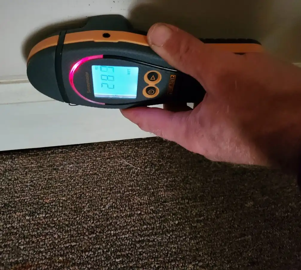 Moisture detection at baseboard during Sewage Cleanup & Sanitation in Evergreen
